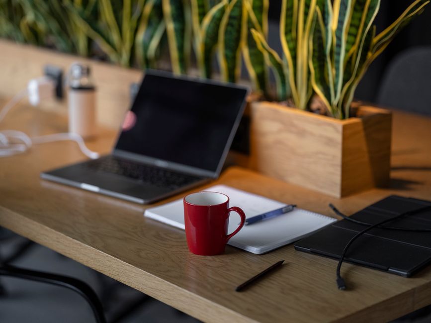 A cozy indoor workspace featuring a laptop, red coffee mug, notebooks, and plants.